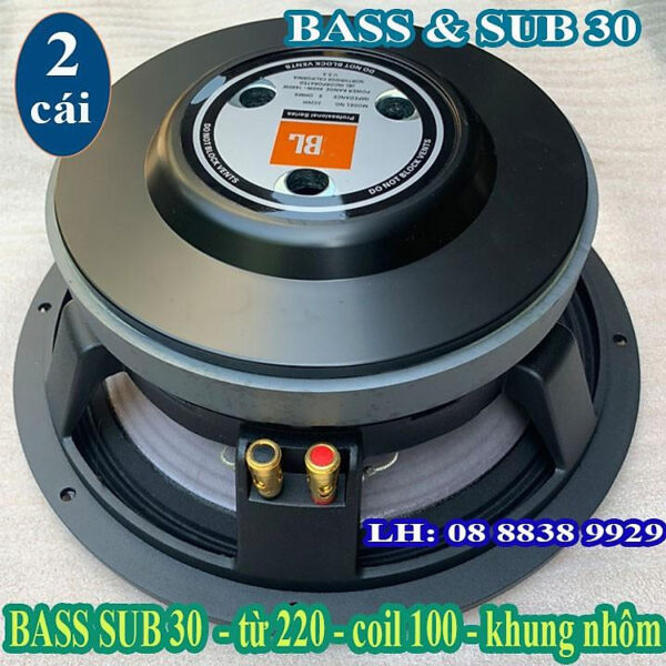 Mua CẶP LOA BASS 30 JB TỪ 220 CÔN 100 - LOA NHẬP CAO CẤP - HÀNG NHẬP KHẨU tại Store Minh Châu