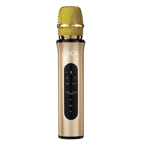 Mua Micro Karaoke Bluetooth Kèm Loa K6L - Hàng Chính Hãng PKCB312 tại PKCB