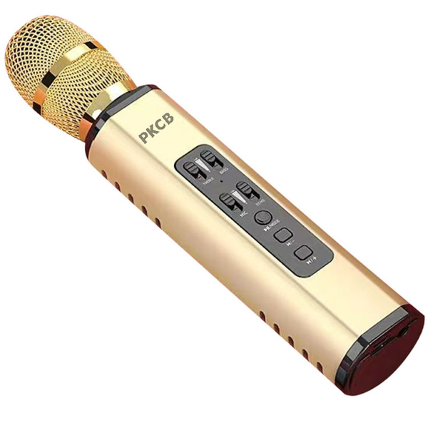 Mua Micro Karaoke Bluetooth Không Dây Kèm loa Chất Lượng PKCB - Hàng chính hãng tại GEXTECH