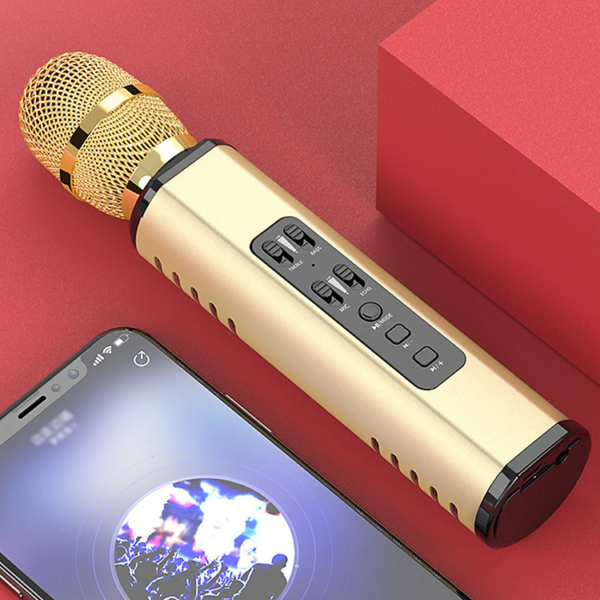 Mua Micro không dây Bluetooth Karaoke - Hàng Chính Hãng tại Phụ kiện cho bạn 07